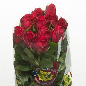 ROSE SEXY RED 40